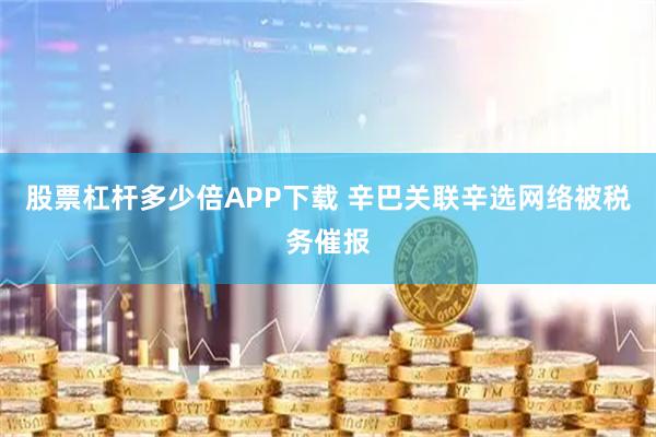 股票杠杆多少倍APP下载 辛巴关联辛选网络被税务催报