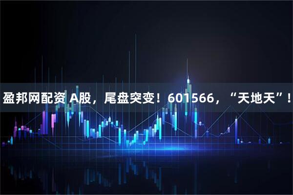 盈邦网配资 A股，尾盘突变！601566，“天地天”！