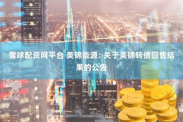 雪球配资网平台 美锦能源: 关于美锦转债回售结果的公告